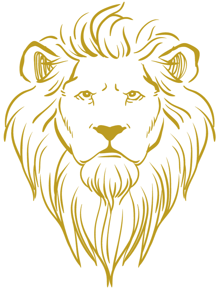 Matti's Auto Detailing team at work